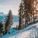 Chalets Signature | Chalet de vacances au ski
 