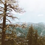 Vacances à la Cortina d'Ampezzo 2018/2019
 