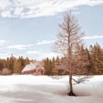 Ski Autriche hiver 2020-2021 - Offres de vacances et d'hébergement à Ski en Autriche
 