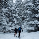 Chalet Hidden Peak - Courchevel 1850 - Alpes Françaises - Chalets de ski de luxe
 