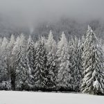10 raisons de prendre un train pour les Alpes l'hiver prochain
 